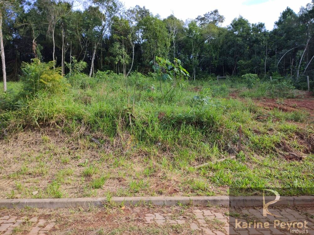 Terreno à venda, 292m² - Foto 9