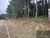 Terreno, 292 m² - Foto 5