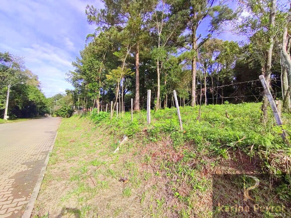 Terreno, 259 m² - Foto 3