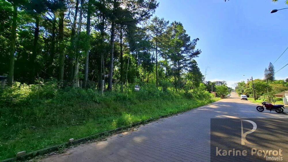 Terreno, 259 m² - Foto 1