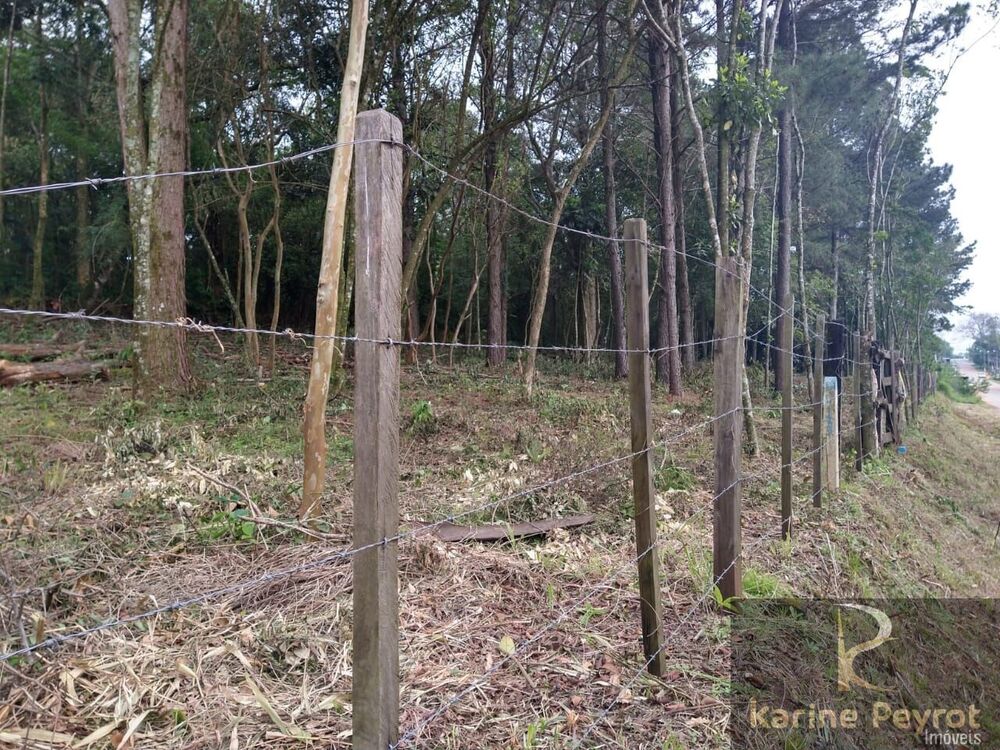 Terreno, 259 m² - Foto 15