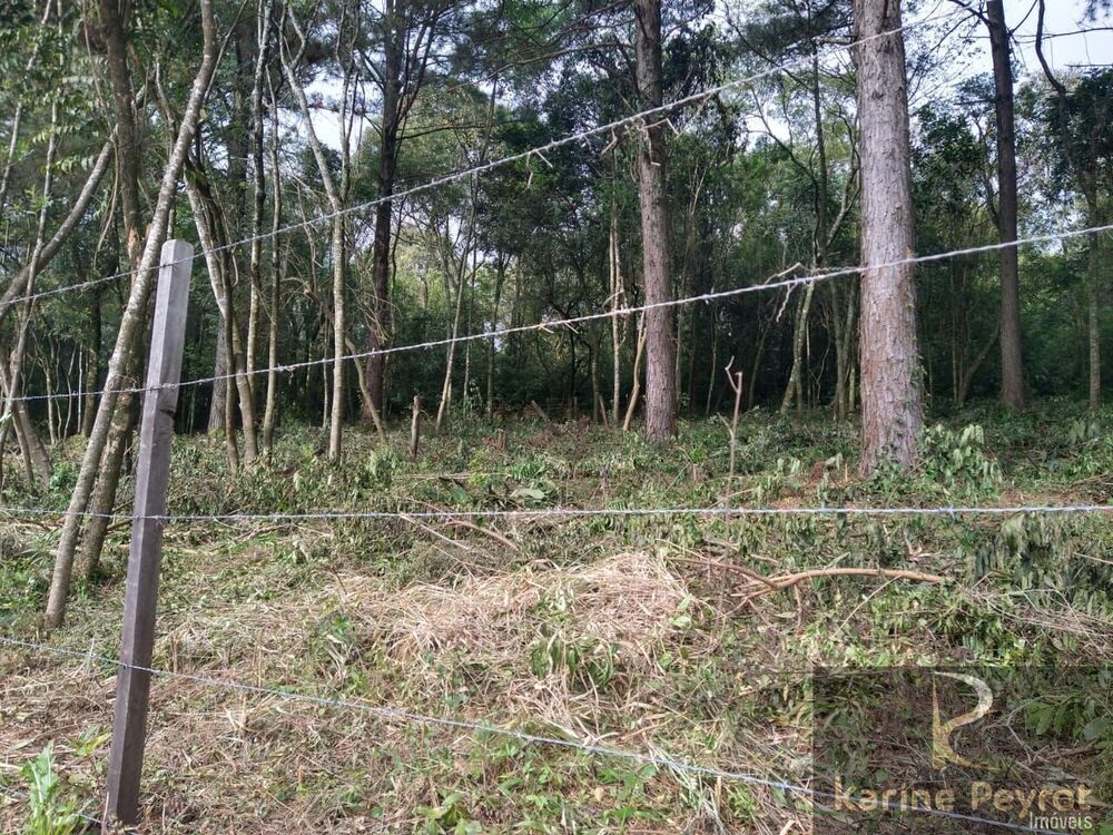 Terreno, 259 m² - Foto 16