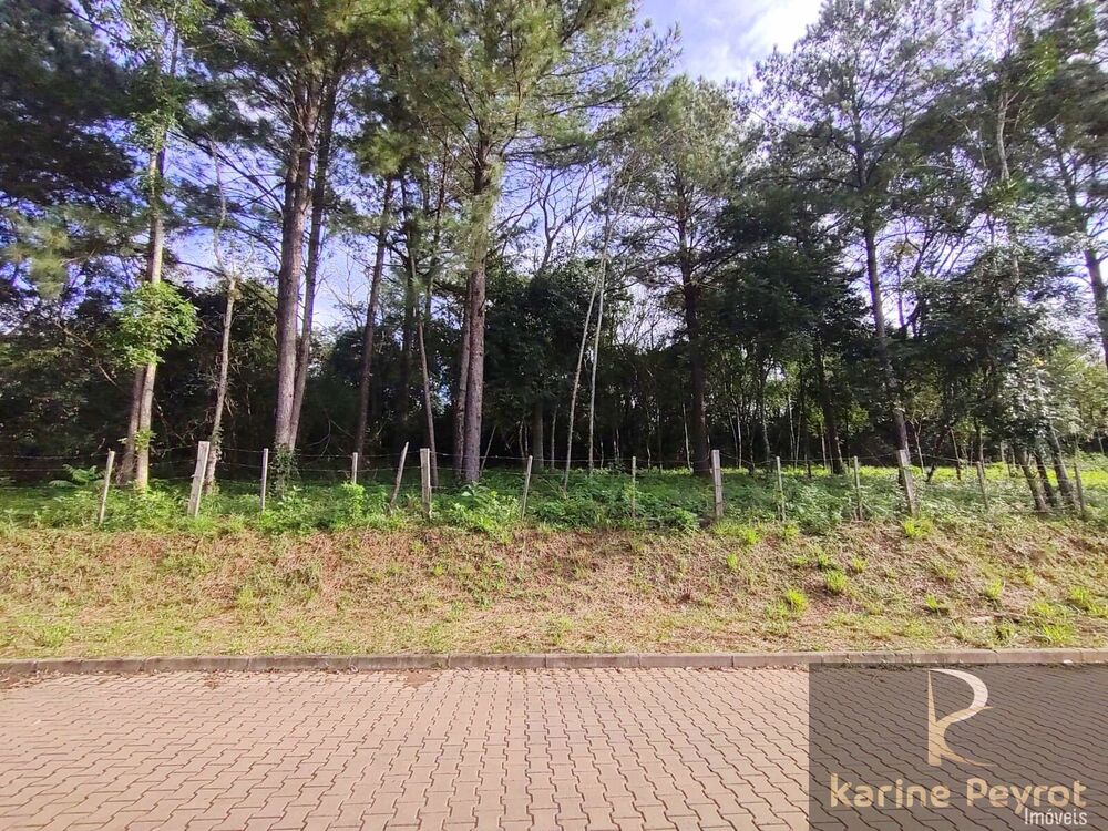 Terreno, 259 m² - Foto 4