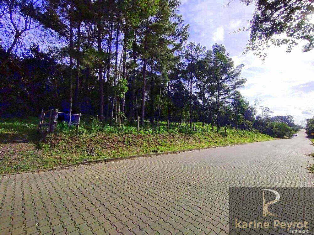 Terreno, 259 m² - Foto 8