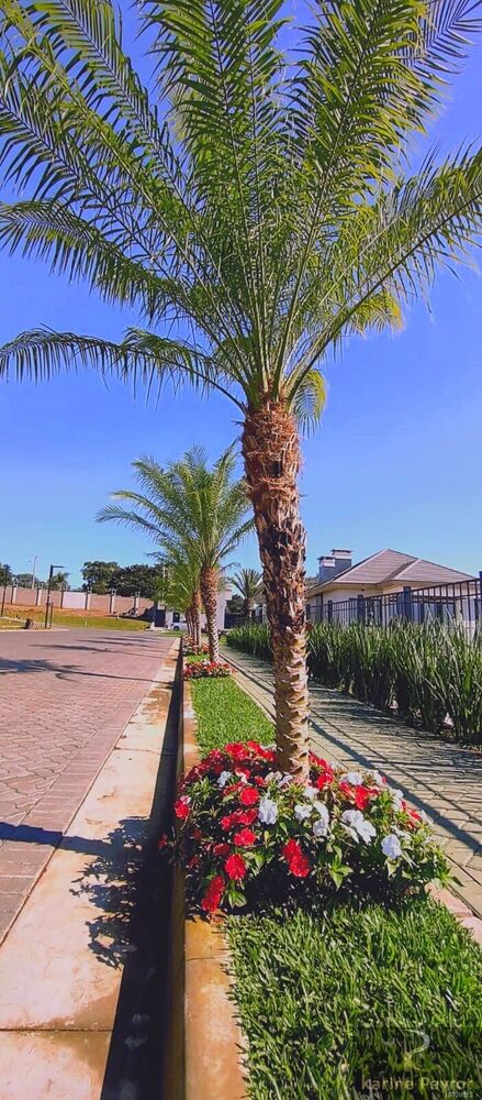 Terreno, 450 m² - Foto 11
