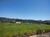 Terreno, 360 m² - Foto 3