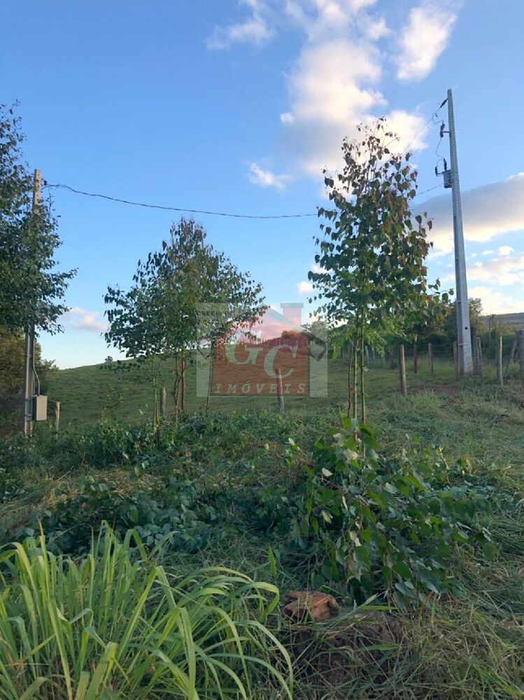 Sítio à venda - Foto 2