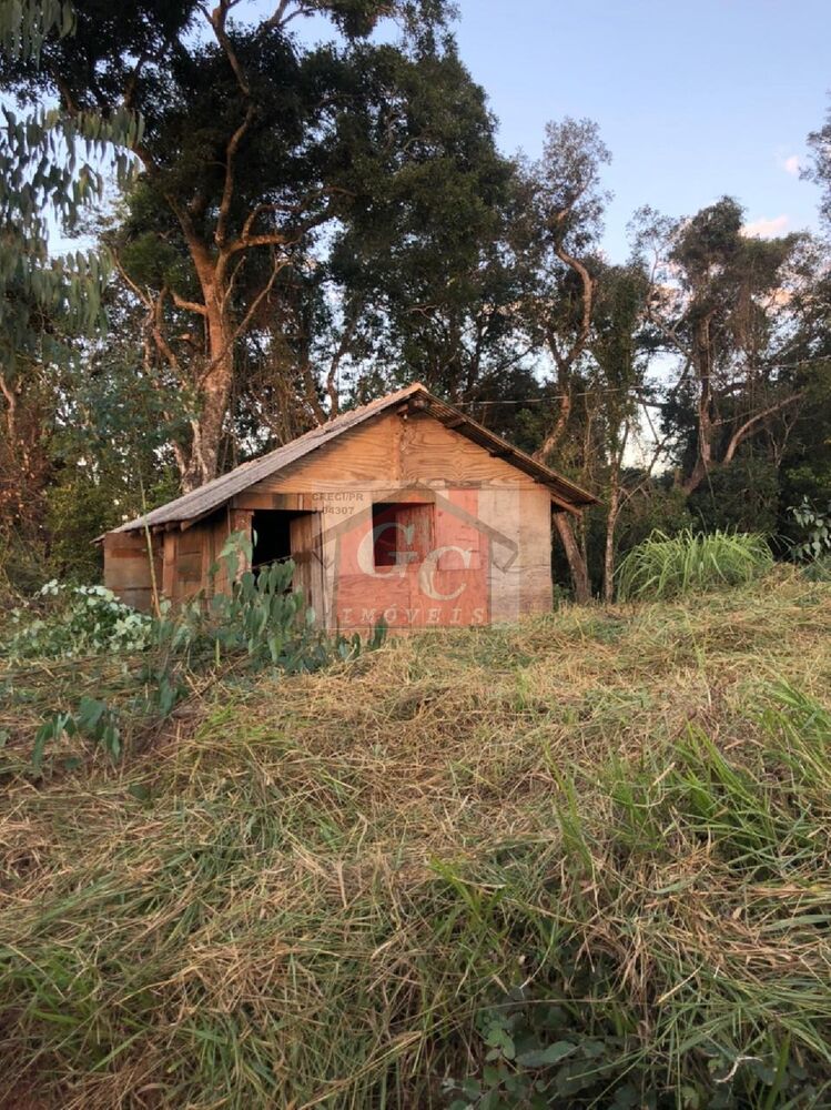 Sítio à venda - Foto 3