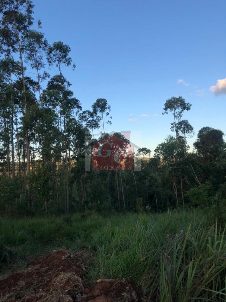 Sítio à venda - Foto 4