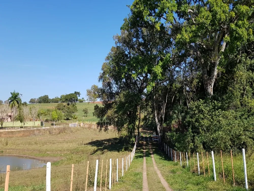 Sítio, 4 quartos, 12 hectares - Foto 3