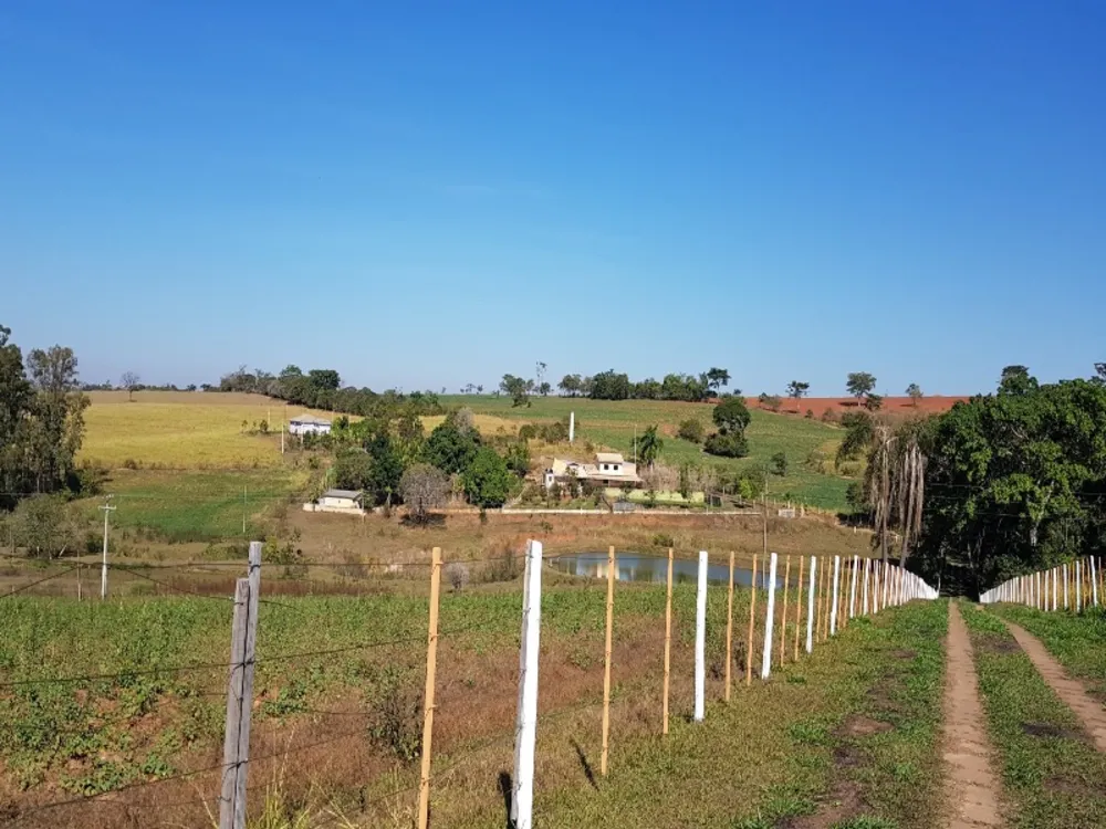 Sítio, 4 quartos, 12 hectares - Foto 2