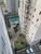 Apartamento, 3 quartos, 69 m² - Foto 3