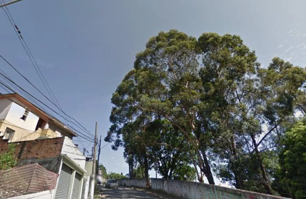 Terreno, 396 m² - Foto 9