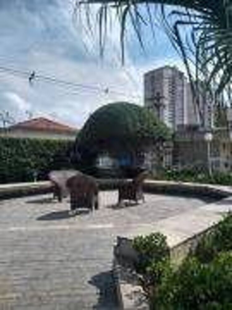 Apartamento à venda com 3 quartos, 90m² - Foto 11