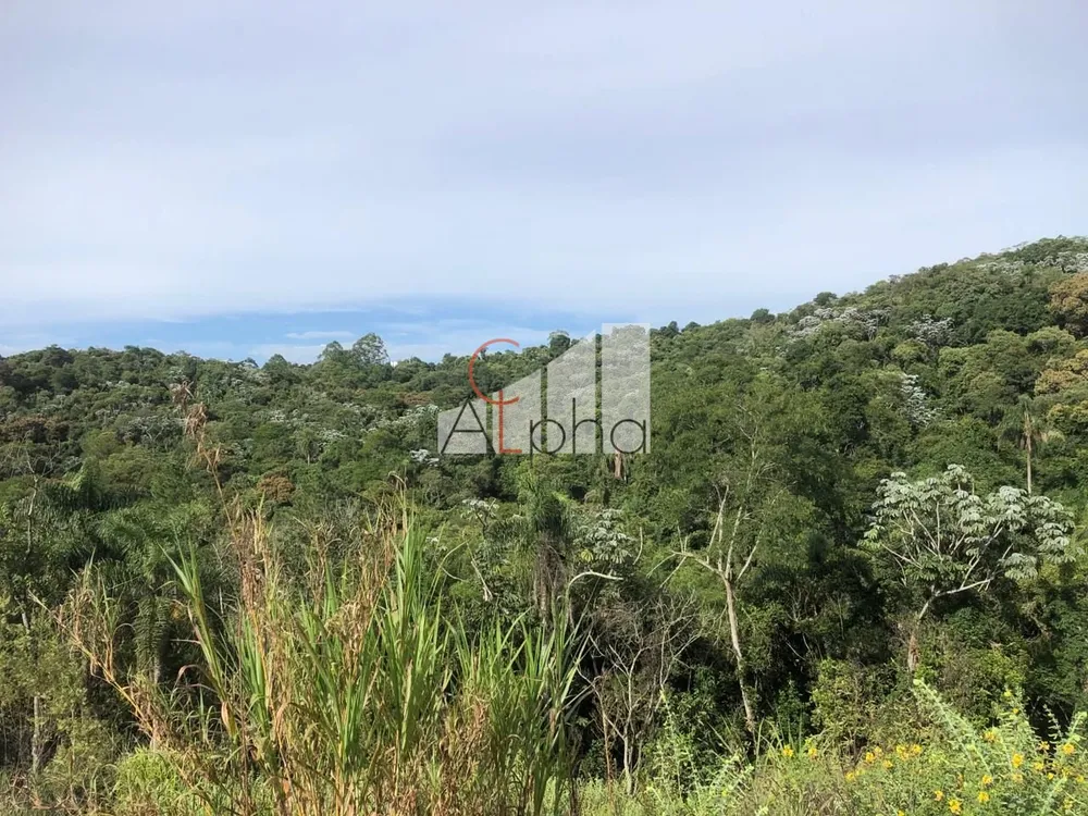 Terreno, 31 hectares - Foto 3