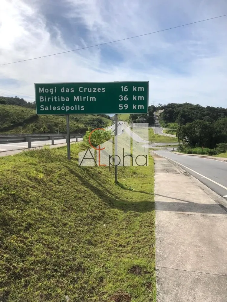 Terreno, 31 hectares - Foto 4