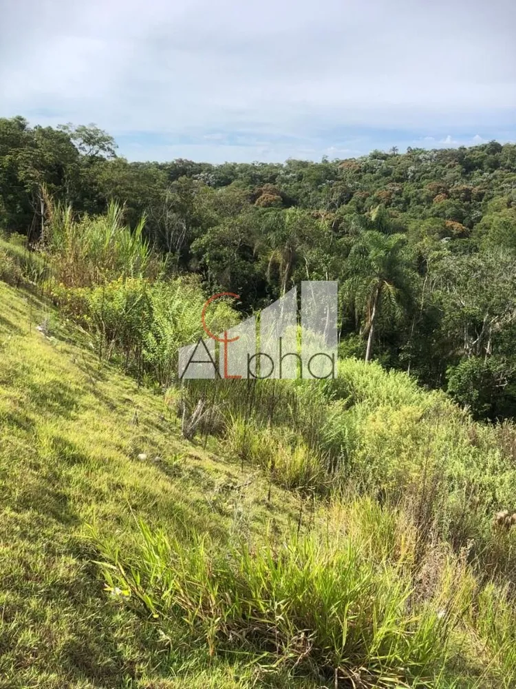 Terreno, 31 hectares - Foto 2