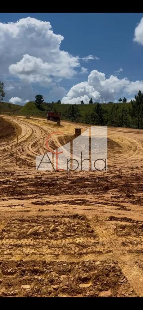 Terreno, 2 hectares - Foto 4