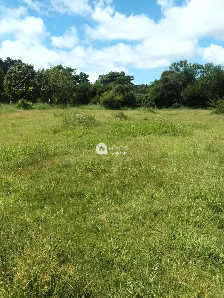 Sítio, 2 quartos, 10000 m² - Foto 8