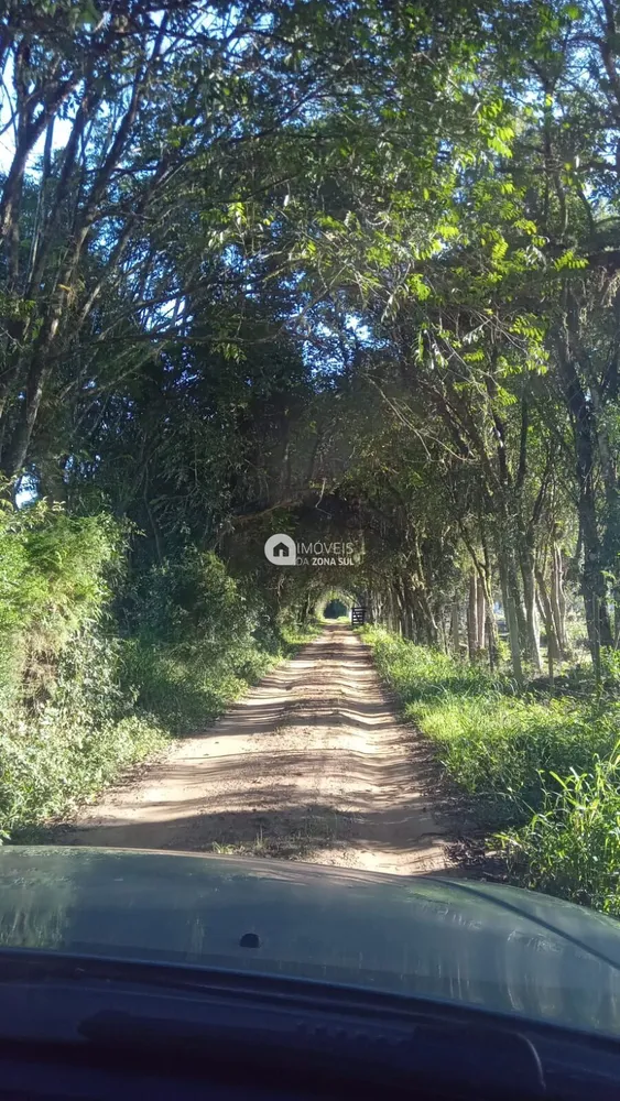 Sítio, 2 quartos, 10000 m² - Foto 1