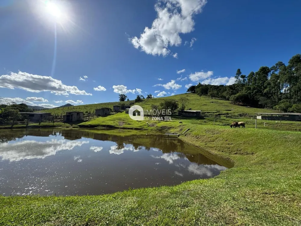 Chácara, 4 quartos, 3 hectares - Foto 3