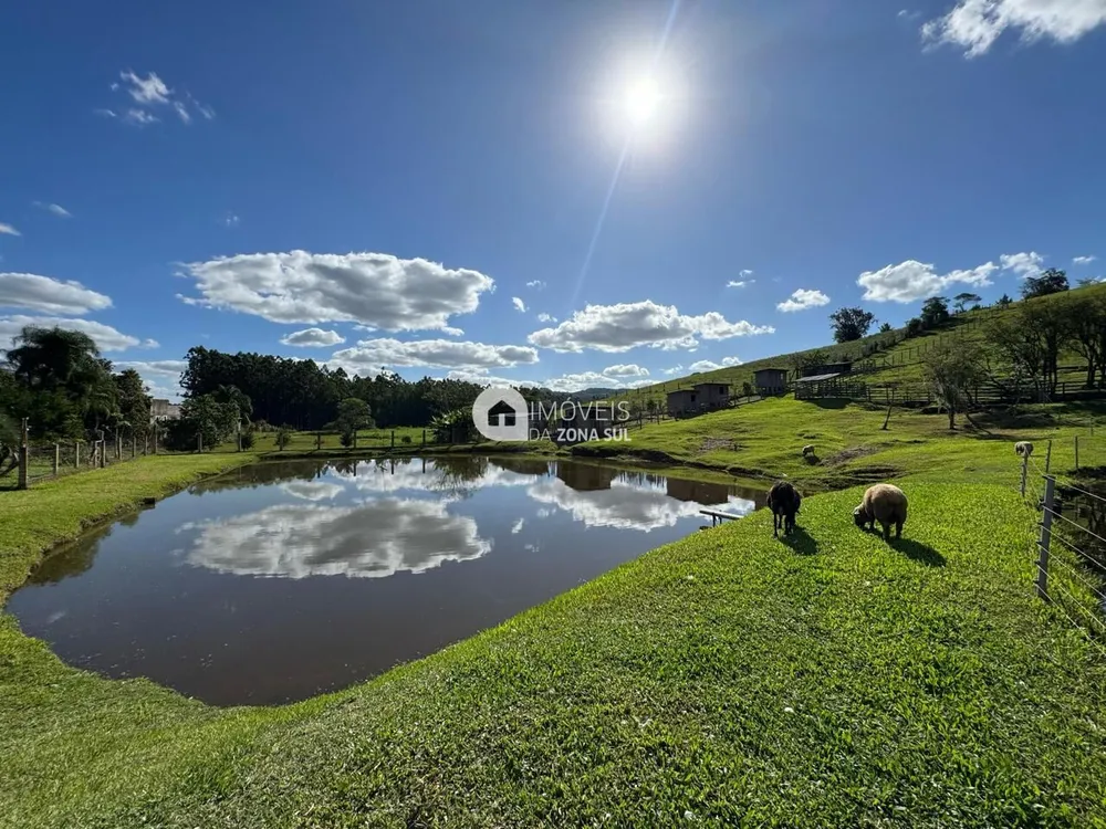 Chácara, 4 quartos, 3 hectares - Foto 6