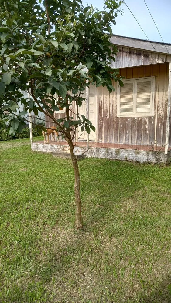 Terreno, 537 m² - Foto 3