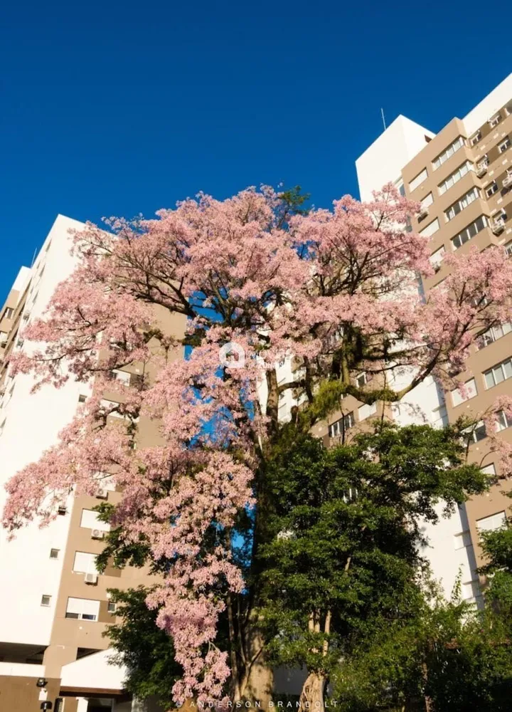 Apartamento, 3 quartos, 73 m² - Foto 19