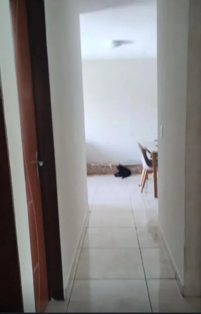 Apartamento, 3 quartos, 80 m² - Foto 5