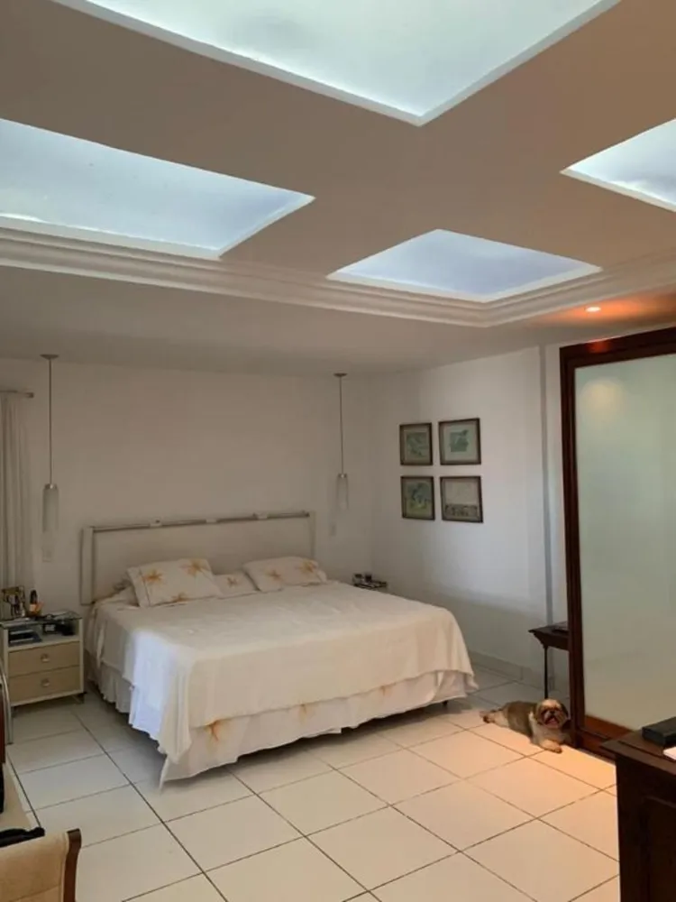 Casa, 4 quartos, 543 m² - Foto 11