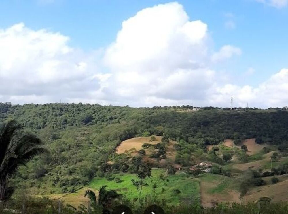 Loteamento e Condomínio, 588 m² - Foto 2