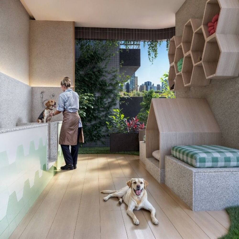 Apartamento à venda com 2 quartos, 72m² - Foto 18