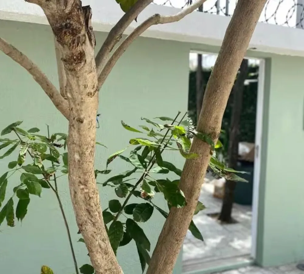 Casa, 7 quartos, 160 m² - Foto 11
