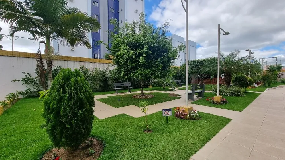 Apartamento, 3 quartos, 84 m² - Foto 2