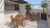 Apartamento, 3 quartos, 70 m² - Foto 17