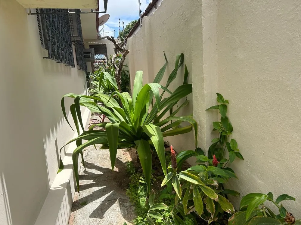 Casa, 4 quartos, 227 m² - Foto 12