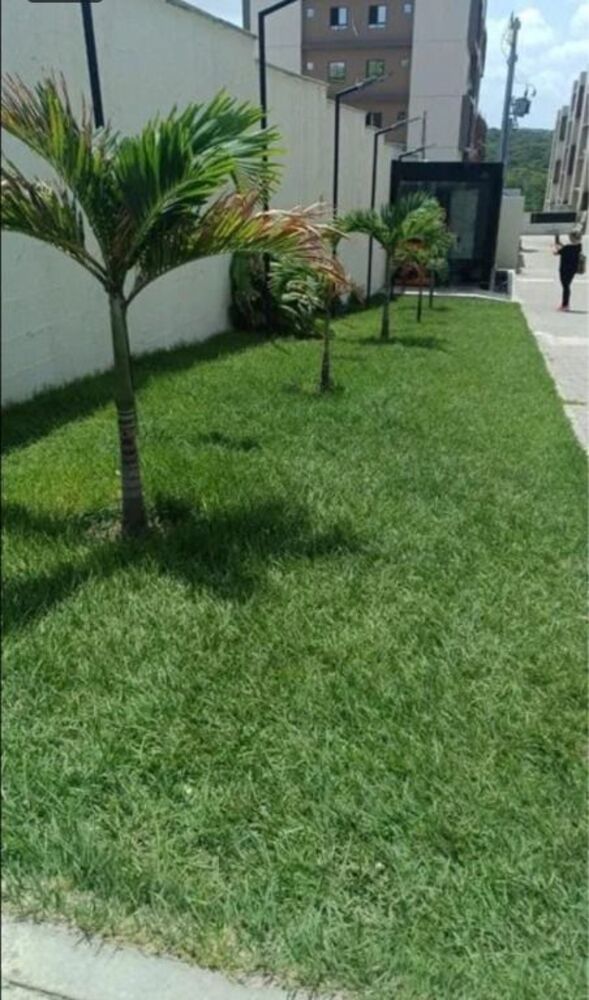 Apartamento para alugar com 2 quartos, 54m² - Foto 7