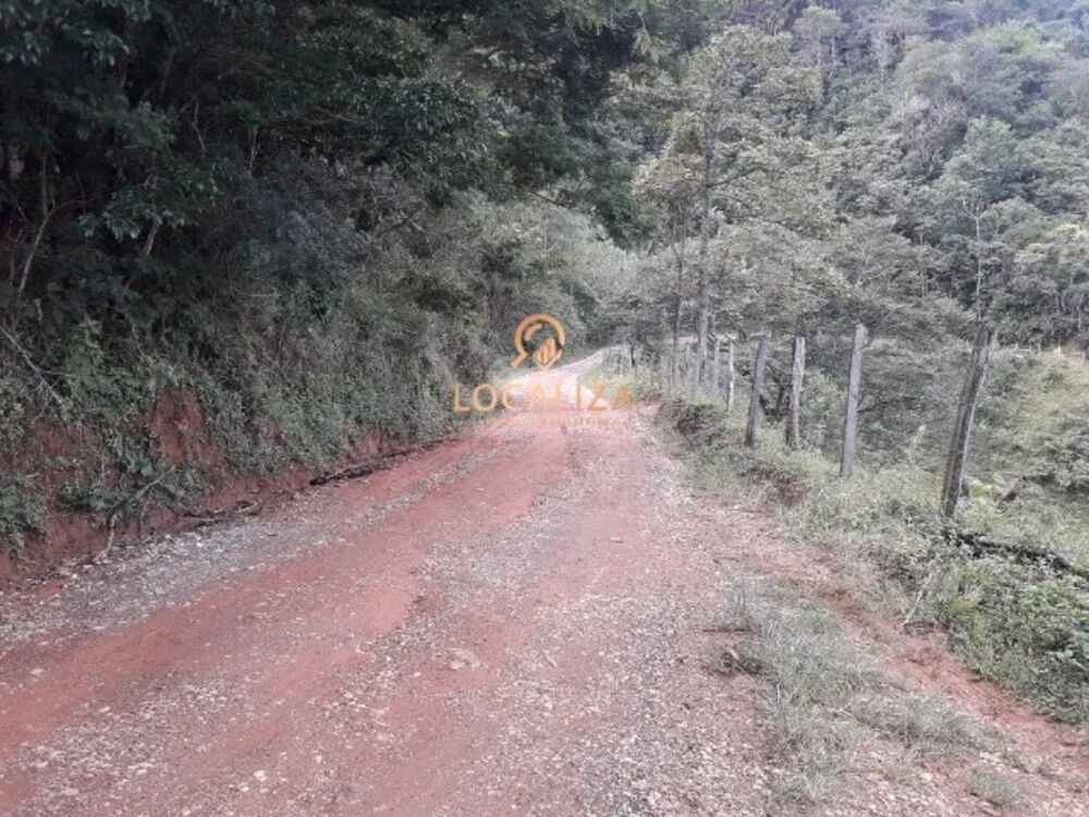 Sítio à venda com 4 quartos - Foto 4