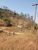 Fazenda-Sítio-Chácara, 337 m² - Foto 3