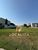 Terreno, 462 m² - Foto 3