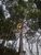Fazenda, 3 quartos - Foto 4