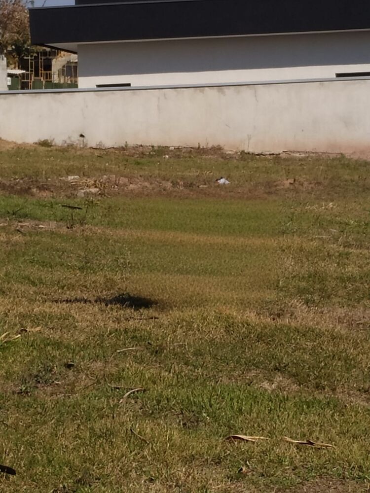 Terreno, 601 m² - Foto 3