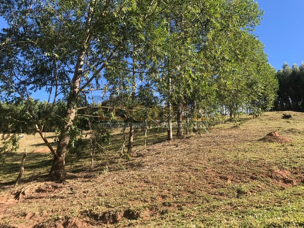 Sítio, 2 quartos, 100 m² - Foto 3