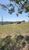 Terreno, 1000 m² - Foto 1