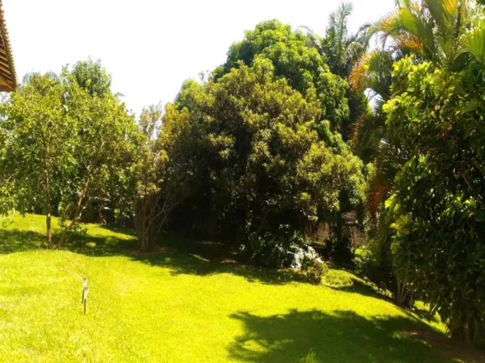Chácara, 6 quartos, 3185 m² - Foto 6