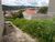 Terreno, 300 m² - Foto 1