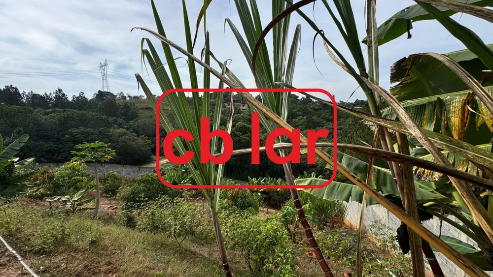 Chácara, 2 quartos, 1800 m² - Foto 11