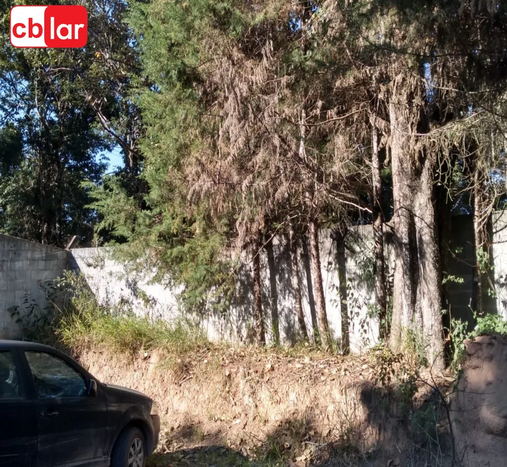 Chácara, 6 quartos, 5138 m² - Foto 2