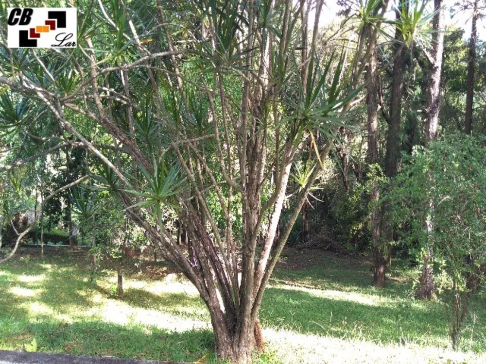 Chácara, 5 quartos, 5000 m² - Foto 2
