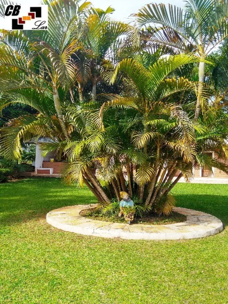 Chácara, 5 quartos, 5000 m² - Foto 7